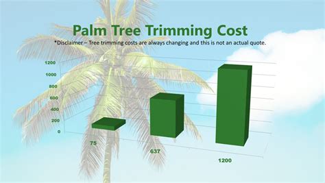 For big trees, such as pine or oak, expect to pay between $300 and $1,000 each. Palm Tree Trimming Cost Phoenix 2019 - Average Removal Prices