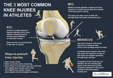The 3 Most Common Knee Injuries In Athletes Cruciate Ligament