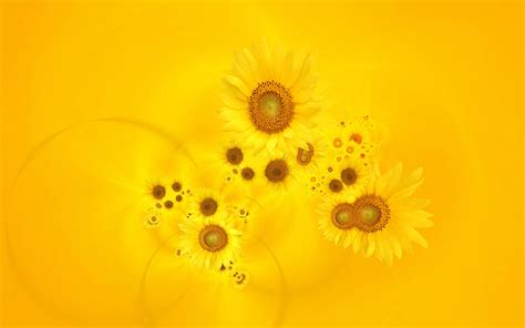20 Yellow Flower Backgrounds Wallpapers Freecreatives