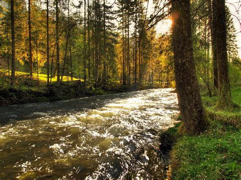 Fondos De Pantalla Ríos Austria Schwarzbach árboles Naturaleza