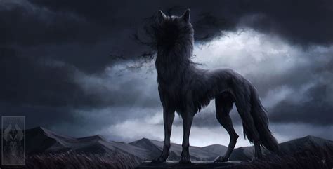 Shadow Wolf Wallpapers Top Free Shadow Wolf Backgrounds Wallpaperaccess