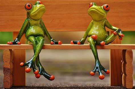 Bank Funny Bench Rest Friends Frogs Sit Break 20 Inch By 30 Inch