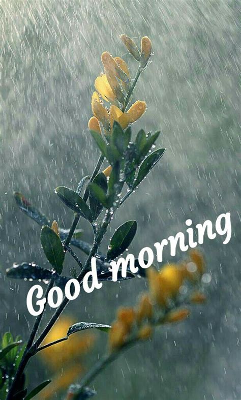 Pin By Indu Magar On Wishes With Images Good Morning Rainy Day Morning Pictures Good