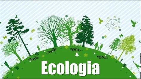 Conceitos De Ecologia Ciências 6° Ano Youtube