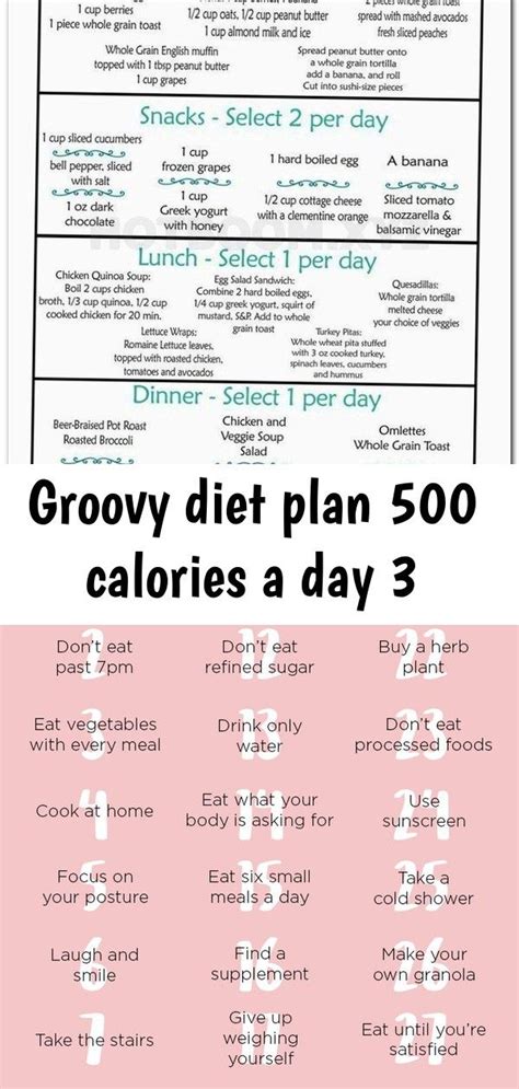 Groovy Diet Plan 500 Calories A Day 3 500 Kalorien Diät Plan Diät