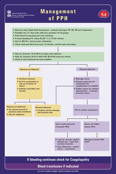 Management Of Postpartum Haemorrhage Pphstarting And Maintaining An