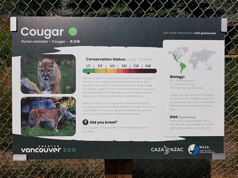 Cougar Sign Zoochat