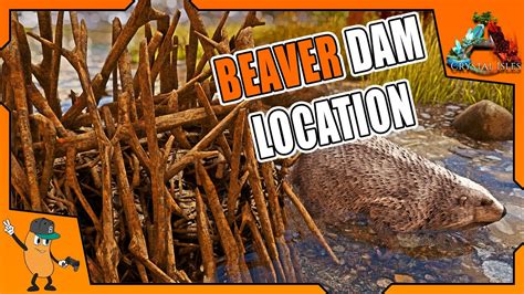 Beaver Dam Locations Ark Crystal Isles Free Dlc Youtube