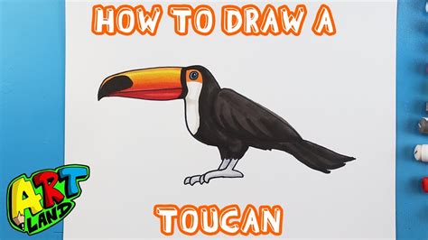 How To Draw A Toucan Youtube