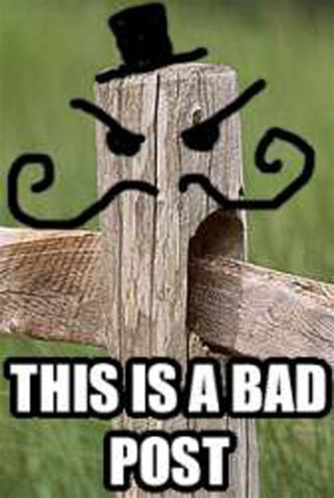 This Post Meme