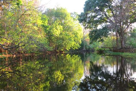 Not much is known about avian use of the bombing range ridge carlff. Kayaking Arbuckle Creek: Unexpected beauty at a bombing ...