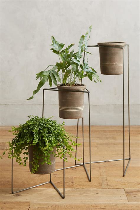 Plant Stand Trio Anthropologie