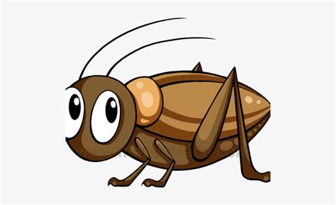 Download Brown Cricket Insect Brown Cricket Insect Clipart