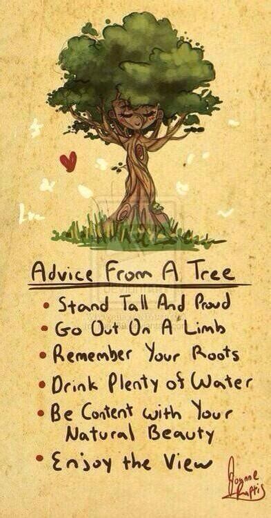 Advice From A Tree Quote Tree Tree Poems Famous Quotes Quotesgram