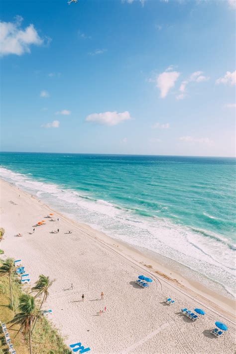 Weather For Hollywood Fl