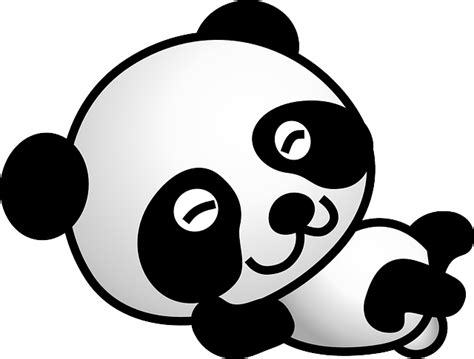 Panda Bär Cartoon Kostenlose Vektorgrafik auf Pixabay