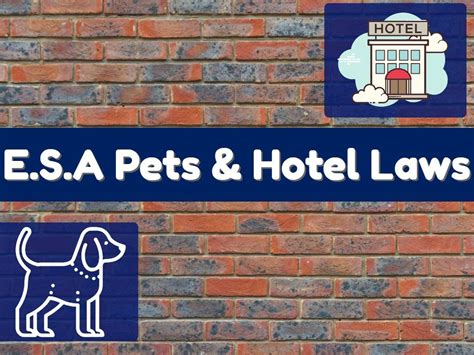 Hotel Laws for Emotional Support Animals | Emotional support animal, Pet hotel, Emotional support