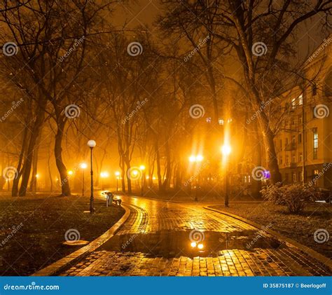 Foggy Evening In The Park Stock Image Image Of City 35875187