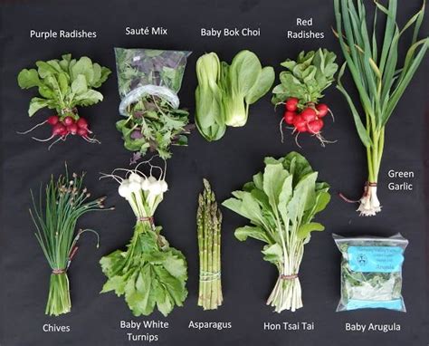 Harmony Valley Farm May 20 2021 This Weeks Box Contents Featuring