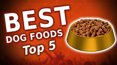 🇺🇸 5 Best Dog Foods 2020 Reviews 😎😎 Youtube