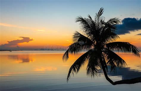 Sunset Over The Ocean With Tropical Palm Tree Silhouette Stock Photo