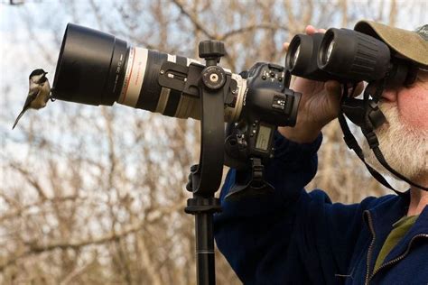 10 Best Canon Lenses For Wildlife Photography Buying Guide 2022