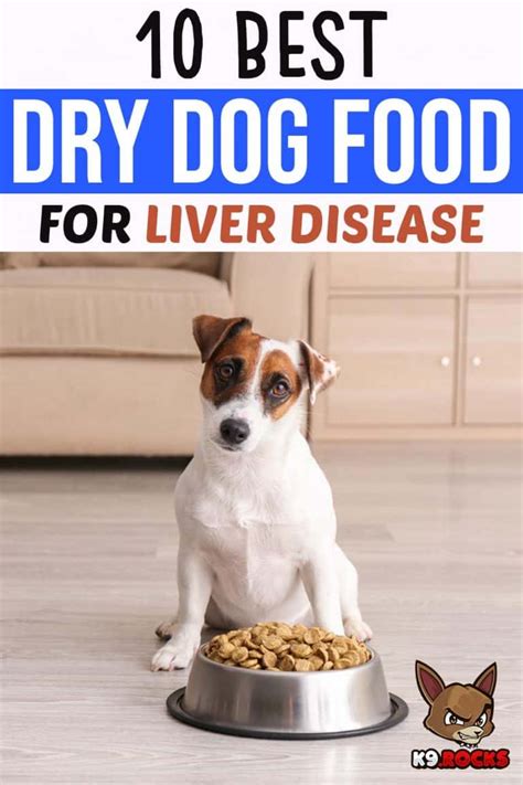 Homemade dog food recipe #4. 10 Best Dry Dog Food for Liver Disease - K9 Rocks