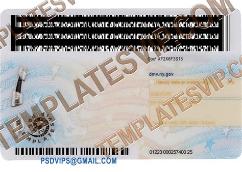 New York Ny Drivers License Psd Template Download 2023 V2