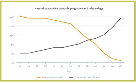 Sunfert How Age Affects Fertility Sunfert International Fertility