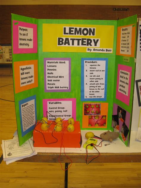 Science Fair Topics For 8th Grade