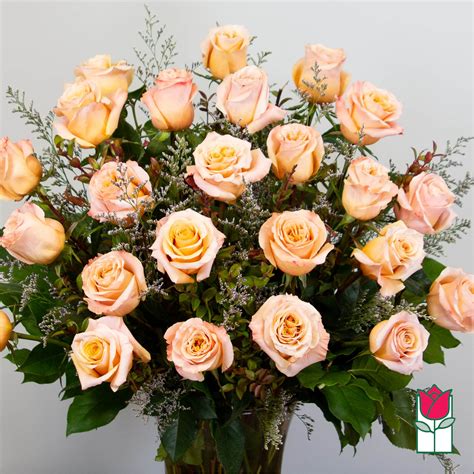Non Valentine Beretanias 2 Doz Extra Long Stem Peach Rose Bouquet