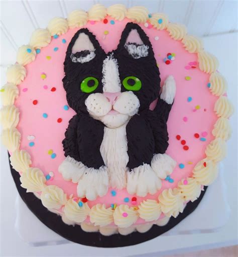 Kitty Cat Cake Cat Cake Cake Sweet Grace