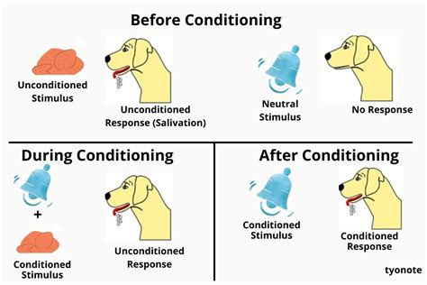 Aqa Classical Conditioning Teaching Resources