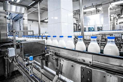 Top Milk Producing Us States Worldatlas