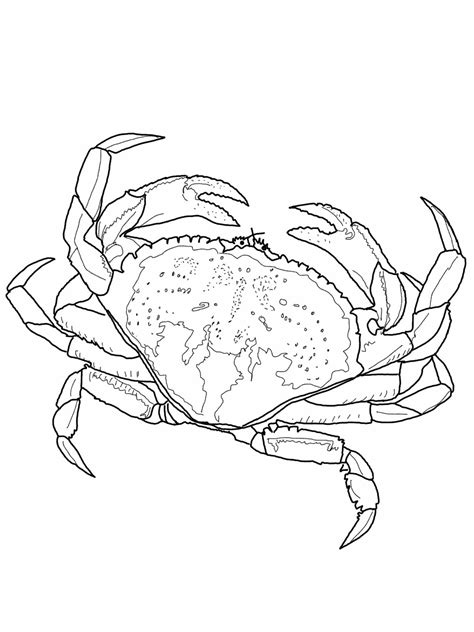 Free Printable Crab Coloring Pages For Kids