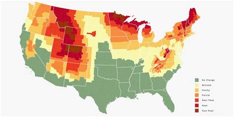 This Fall Foliage Map Predicts Exactly When The Leaves Will Change In