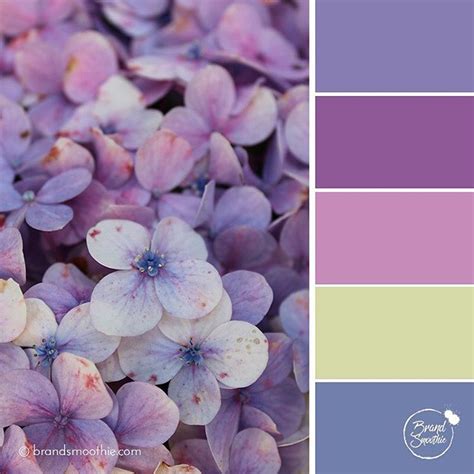 Soothing And Relaxing Purple Colour Palette Inspiration Ideal For