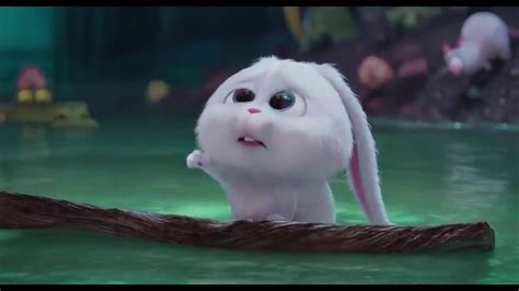 The Secret Life Of Pets Snowball Funny Moments Hd Cute Bunny