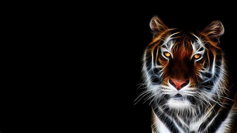 Tiger Iphone Wallpaper Kolpaper Awesome Free Hd Wallpapers Riset