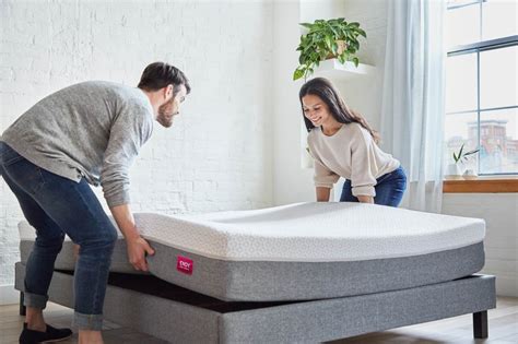 Which Box Mattress Has The Best Bounce Cult Mtl