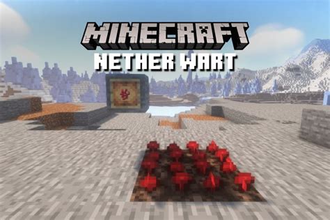 What Is Nether Wart In Minecraft All You Need To Know Beebom