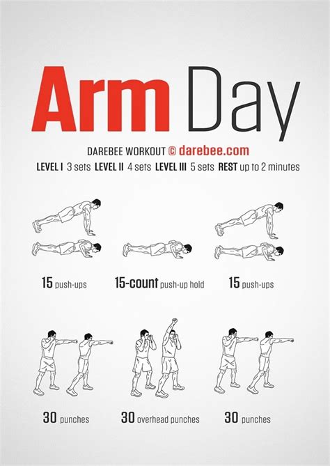 Pin By Liz Gonzales On Exercises Arm Day Workout Chest Workout For