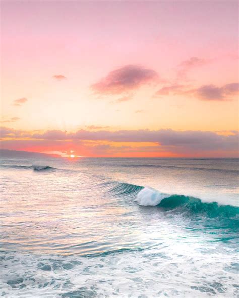 Hawaii Purple Sunset Beach Encrypted Tbn0 Gstatic Com Images Q