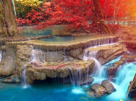 Yellow Red Autumn Trees On Stream Waterfall During Daytime 4k Nature