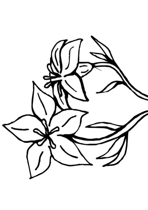 Flores Para Dibujar Faciles