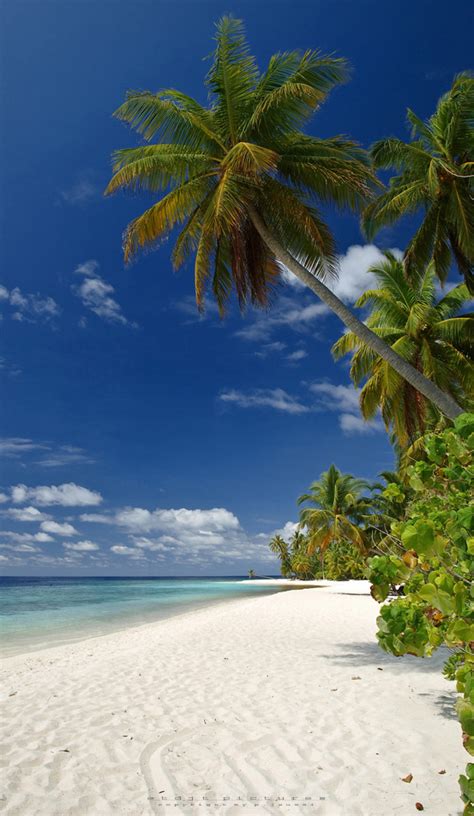 Filitheyo Island North Nilandhe Faafu Atoll Maldives 2012 Foto And Bild Asia Indian Ocean