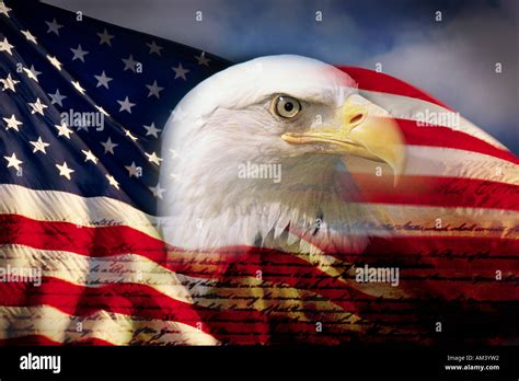 Digital Composite American Bald Eagle And Flag Is Underlaid With The