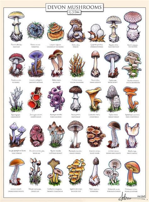 Pin By Sarah Dennis On Fungi Stuffed Mushrooms Mushroom Art Crystal