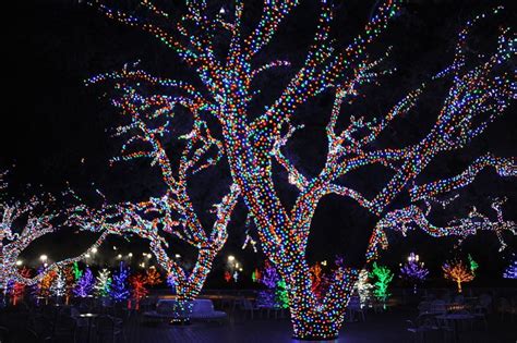 The Top Places To See Christmas Lights In Dallas Fort Worth Guidelive