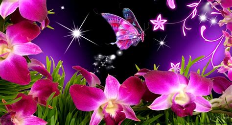 Animated Flowers And Butterflies Spring Wallpaper Best Hd Wallpapers